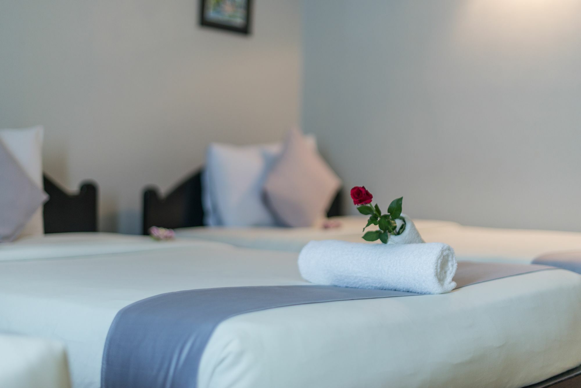 Jk Resident Hotel Siem Reap Exterior foto